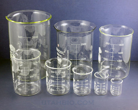 50 mL Glass Beaker